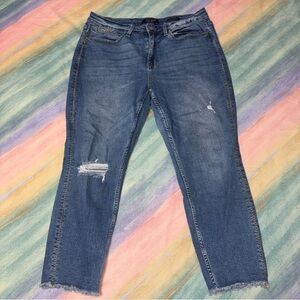 Judy Blue High Waist Boyfriend‎ Jeans Size 18W Distressed, Embroidered Stretchy